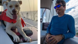 ST Houston dog man sailing